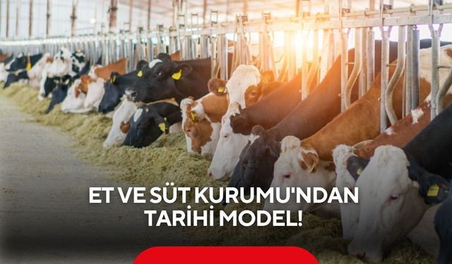 Et ve Süt Kurumu'ndan tarihi model: Kâr garantili besicilik başladı