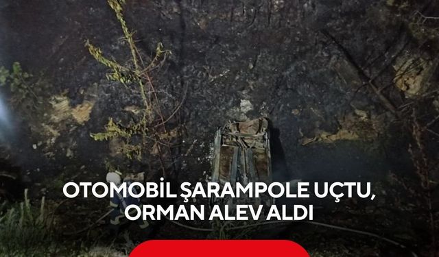 Otomobil şarampole uçtu, orman alev aldı... | Alev alan araçtan son anda kurtuldu