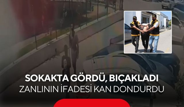 “Platonik Aşk” dehşete döndü! Genç kadını evinde 7 yerinden bıçakladı...