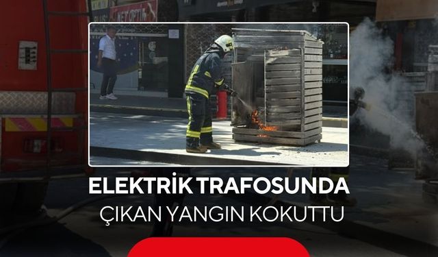 Elektrik trafosunda çıkan yangın kokuttu
