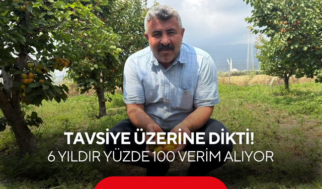 Tavsiye üzerine dikti, 6 yıldır hiç zarar etmedi! Şaşırtan verim