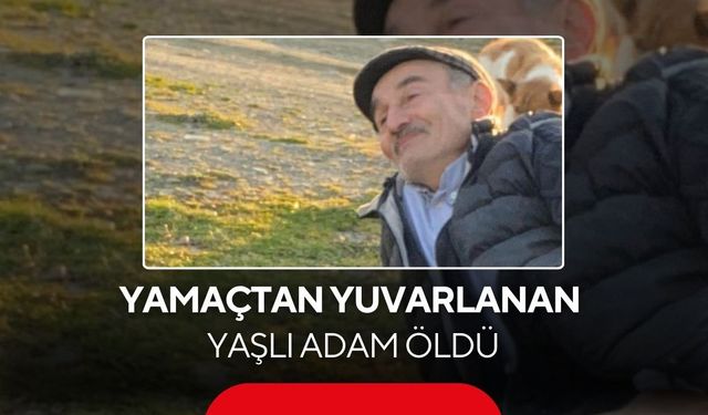 Yamaçtan yuvarlanan yaşlı adam öldü