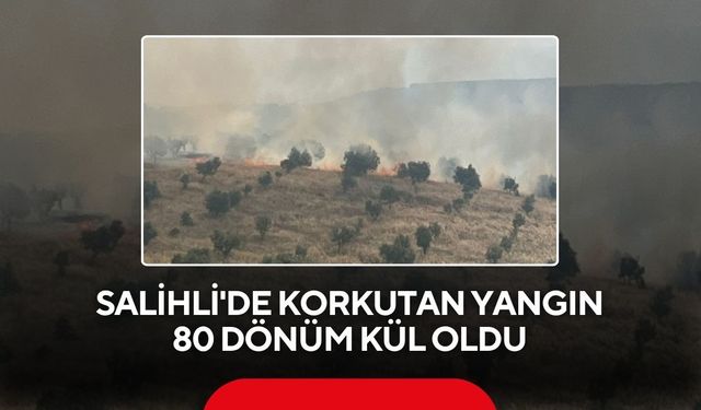 Salihli'de korkutan yangın:80 dönüm kül oldu