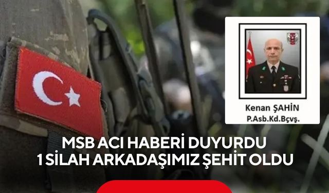MSB acı haberi duyurdu: 1 silah arkadaşımız şehit oldu
