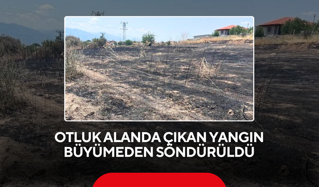 Otluk alanda çıkan yangın büyümeden söndürüldü