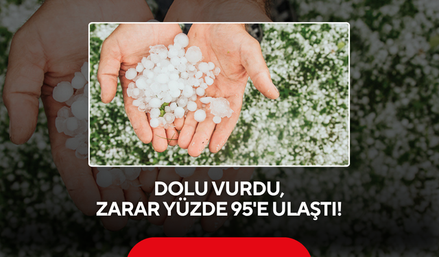Dolu Birkaç Saatte Bir Yıllık Emeği Yok Etti !