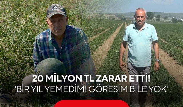 500 dönümde üretti, 3 bin 500 ton karpuz tarlada çürüdü!