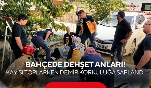 Bahçede dehşet anları! Kayısı toplarken demir korkuluğa saplandı