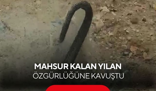 Balık ağına takılan yılanı kurtardı, “Hadi Git” diyerek doğaya uğurladı...