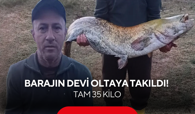 Barajın devi yakalandı! Sudan çıkarmak için dakikalarca mücadele ettiler