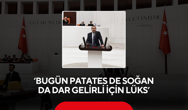"Bugün Patates de Soğan da Dar Gelirli İçin Lüks"