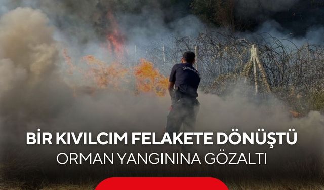 Biçme makinesinden çıkan kıvılcım ormanı yaktı, operatör gözaltına alındı...