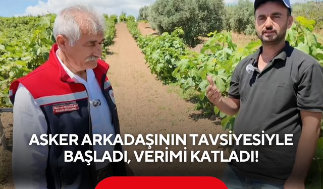 Bir tavsiye hayatını değiştirdi… Şimdi verimi kat kat arttı