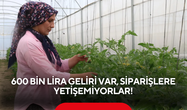 Çorak topraklar servete dönüştü! 600 bin lira geliri var, siparişlere yetişemiyorlar