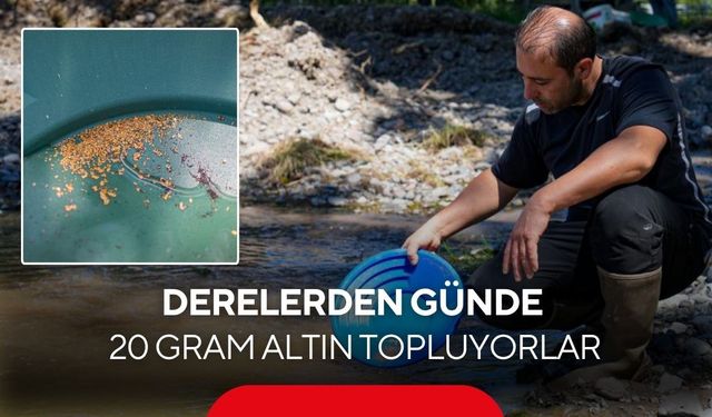 Derelerden servet akıyor: Derelerden günde 20 gram altın topluyorlar