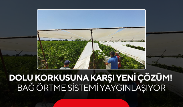 Dikkat Çeken Değişim ! Bağ Örtme Sistemi Yaygınlaşıyor