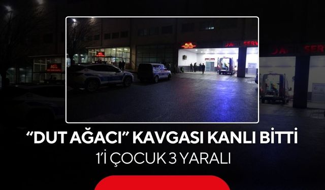 “Dut Ağacı” yüzünden aile birbirine girdi... Silahlar çekildi 1’i çocuk 3 yaralı