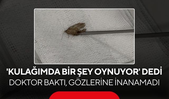 Kulağındaki hareketin sebebi şoke etti! Doktorun çıkardığı şey herkesi hayrete düşürdü...
