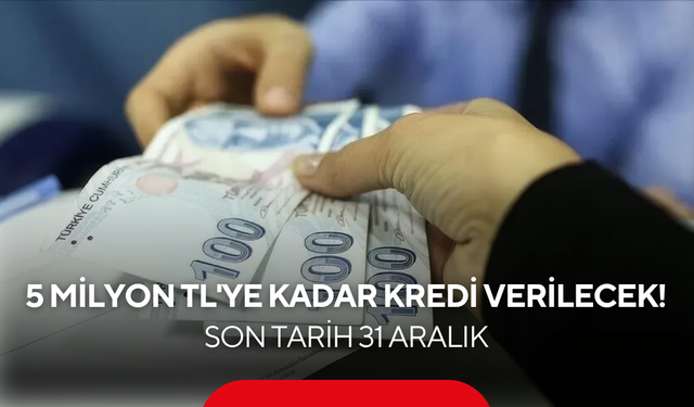 Girişimcilere 5 milyon TL'ye kadar kredi verilecek! Son tarih 31 Aralık