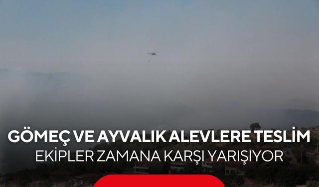 Gömeç ve Ayvalık alevlere teslim! Ekipler zamana karşı yarışıyor...