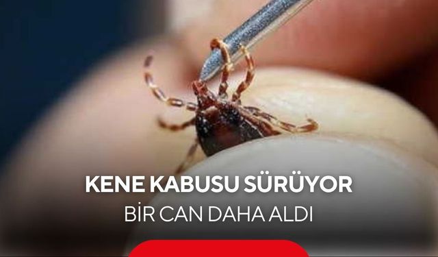 Kene can almaya devam ediyor: 60 yaşındaki vatandaş kurtarılamadı