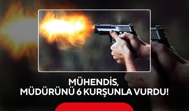 Mühendis, müdürünü 6 kurşunla vurdu! Şüpheli firarda