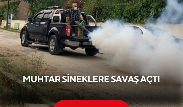 Sinek istilasına muhtar müdahalesi