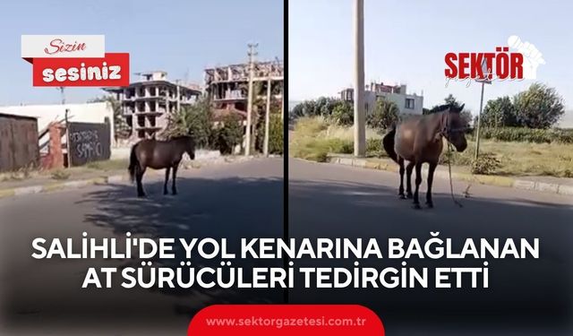 Salihli'de yol kenarına bağlanan at sürücüleri tedirgin etti