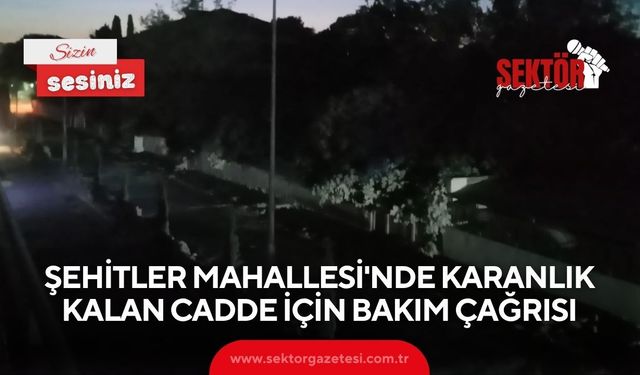 Şehitler Mahallesi'nde karanlık kalan cadde için bakım çağrısı