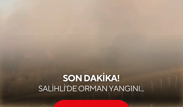Son dakika! Salihli'de orman yangını... Alevler yükseliyor