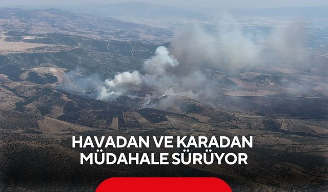 Kontrol altındaki yangın yeniden alevlendi! Havadan ve karadan müdahale sürüyor