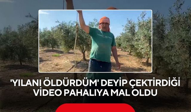 'Yılanı öldürdüm' deyip çektirdiği video pahalıya mal oldu: 22 bin TL ceza yedi