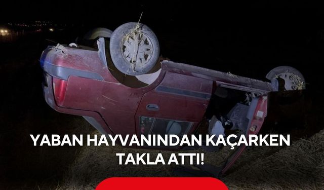 Yaban hayvanına çarpmamak isterken kaza yaptı! 3 kişi ölümden döndü...