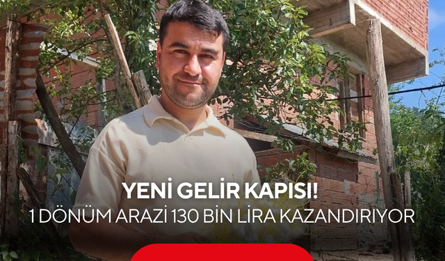 Yeni gelir kapısı! 1 dönüm araziden tam 130 bin lira kazandırıyor