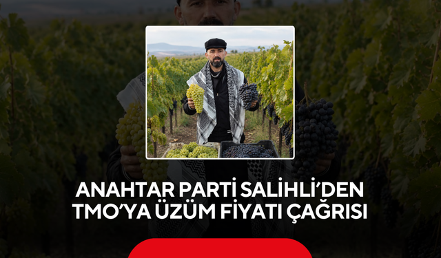 Anahtar Parti Salihli’den TMO’ya üzüm fiyatı çağrısı