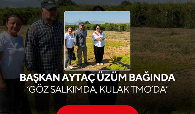 Başkan Aytaç üzüm bağında... 'Göz salkımda, kulak TMO’da'