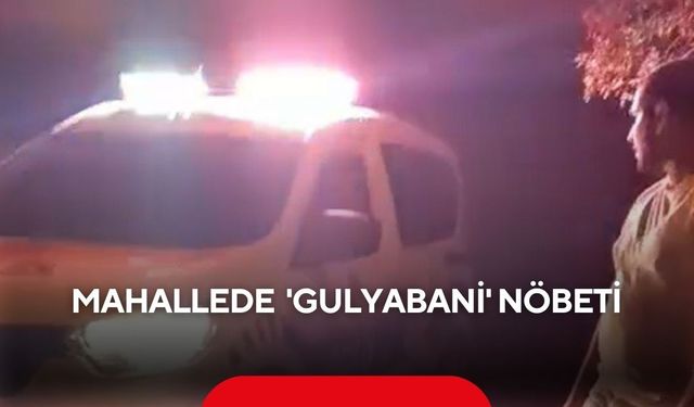 Mahallede 'Gulyabani' nöbeti