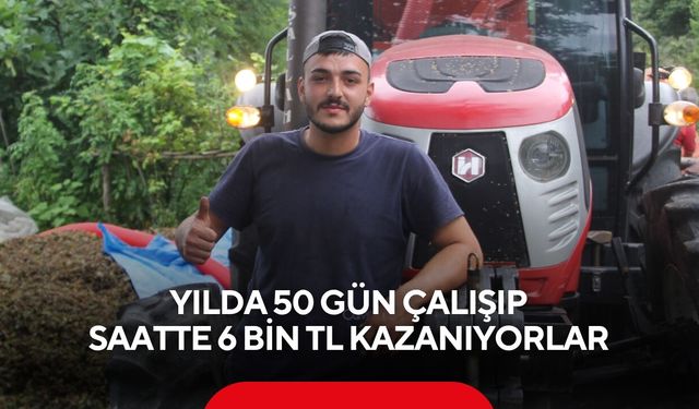 Günlük mesaileri 20 saati buluyor! Patozcuların saatlik ücreti belli oldu