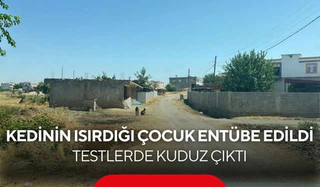 Kedi ısırığı kabusa döndü! Çocuk entübe edildi, test sonucu kuduz çıktı