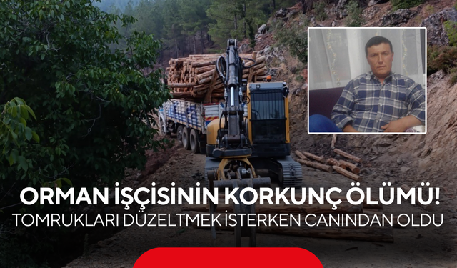 Orman işçisinin korkunç ölümü! Tomrukları düzeltmek isterken canından oldu