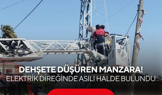 Sabah saatlerinde dehşete düşüren manzara! Elektrik direğinde asılı halde bulundu