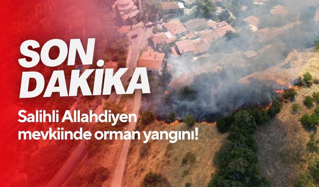 Son Dakika! Salihli Allahdiyen mevkiinde orman yangını!
