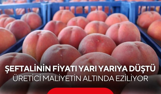 Şeftalinin fiyatı yarı yarıya düştü! Üretici maliyetin altında eziliyor