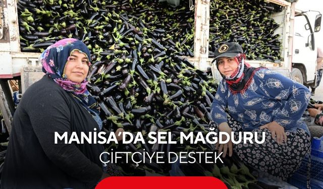 Sel ürünlerini yok etmişti! Manisa’da çiftçinin tarlasında yeniden hasat sevinci