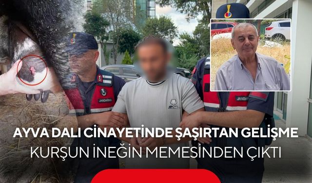 Ayva Dalı Kavgası Cinayetle Bitti! Günler Sonra Ortaya Çıkan Mermi Şaşkına Çevirdi