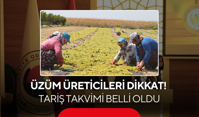 Üzüm Üreticileri Dikkat! TARİŞ Takvimi Belli Oldu
