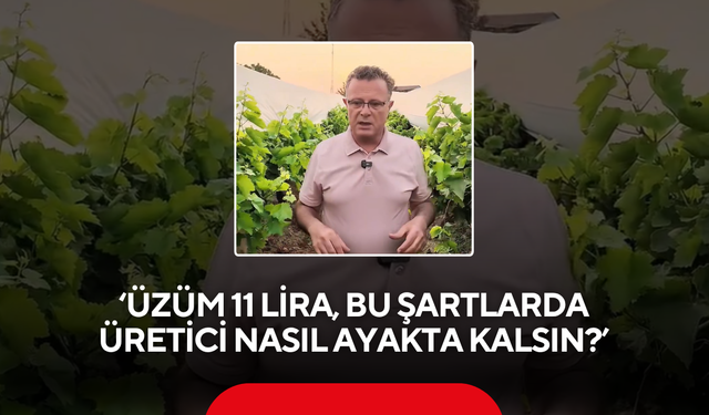 ‘Üzüm 11 lira, bu şartlarda üretici nasıl ayakta kalsın?’