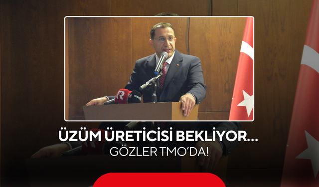 Üzüm Üreticisi Bekliyor… Gözler  TMO’da!
