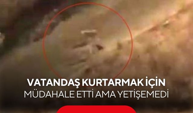 Vatandaş kurtarmak için müdahale etti ama yetişemedi! Başıboş köpeklerin kediye saldırısı kameraya yansıdı