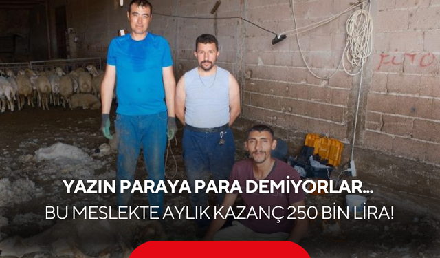 Yazın paraya para demiyorlar... Bu meslekte aylık kazanç 250 bin lira!